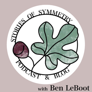 Stories of Symmetry-logo