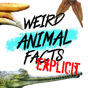 Weird Animal Facts: Explicit-logo