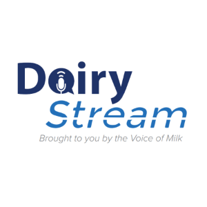 Dairy Stream-logo