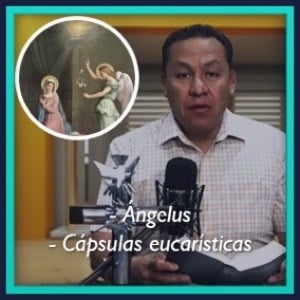 Ángelus / Cápsulas eucarísticas