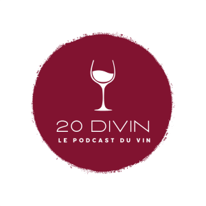 20 Divin-logo