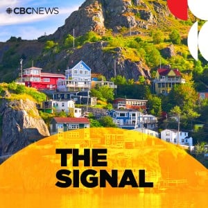 The Signal