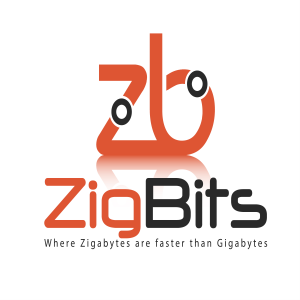 Zigbits Network Design Podcast-logo