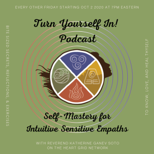 Turn Yourself In!-logo