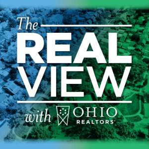 The Real View-logo