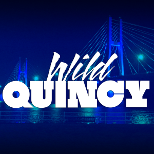 Wild Quincy-logo