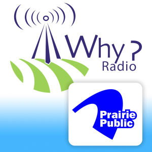WHY? Philosophical Discussions About Everyday Life-logo