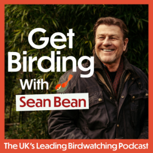 Get Birding-logo