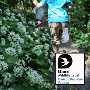 Wild Thing - MWT-logo