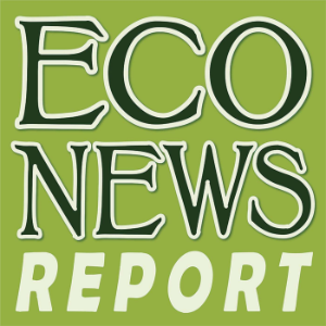 EcoNews Report-logo