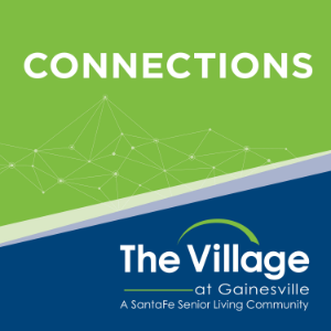 The Village at Gainesville Connections-logo