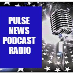 The New Pulse News Podcast Radio-logo
