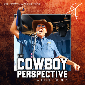 The Cowboy Perspective an exploration of grit, servant leadership, and business philosophy with high performers!-logo