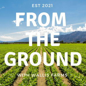 From The Ground- With Wallis Farms