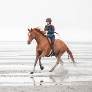 Making Milestones-logo