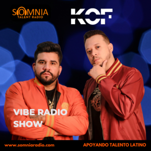 VIBE RADIO SHOW-logo