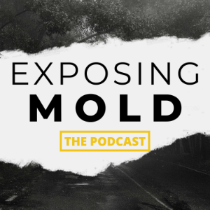 Exposing Mold-logo
