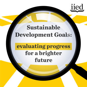 Sustainable Development Goals: evaluating progress for a brighter future-logo