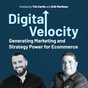 Digital Velocity-logo