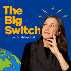 The Big Switch-logo