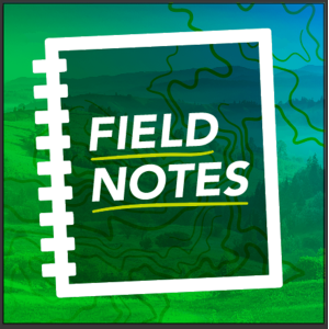 Field Notes-logo