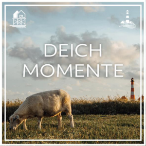 Dike moments-logo