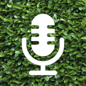 The Hedge Podcast-logo