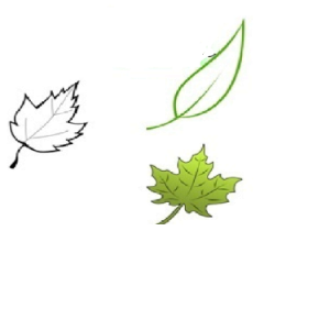 Theoretical and Mathematical Biology-logo