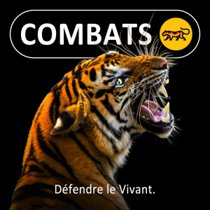 Combats-logo