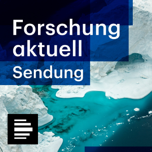 NS-Menschenversuche / Hochwasserschutz / Fermentation von Kakaobohnen
