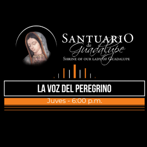 La Voz del Peregrino-logo