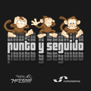 Punto y Seguido - Notisistema-logo