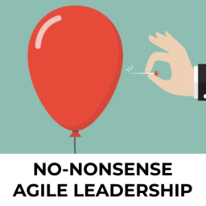 No Nonsense Agile Leadership-logo
