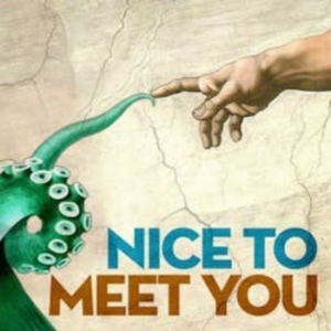 Nice to Meet You-logo