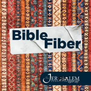 Bible Fiber-logo