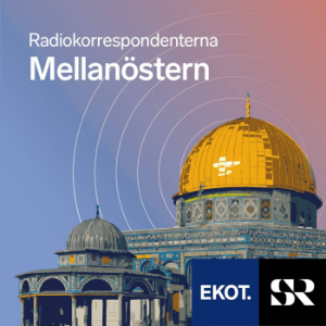 Mellanosternpodden i P1-logo