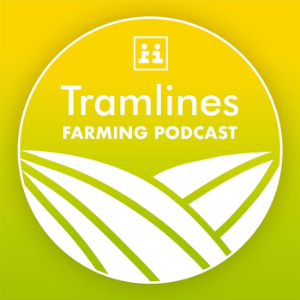 Tramlines-logo