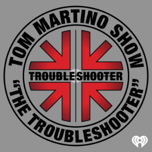 The Troubleshooter-logo