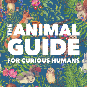 The Animal Guide for Curious Humans-logo
