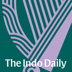 The Indo Daily-logo