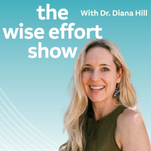 The Wise Effort Show-logo