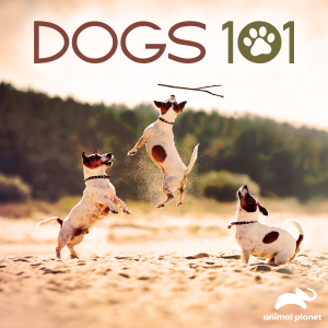 Dogs 101-logo