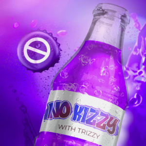 No Kizzy with Trizzy-logo
