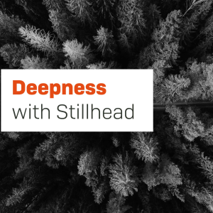 Deepness-logo