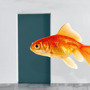 Please Use Other Door-logo