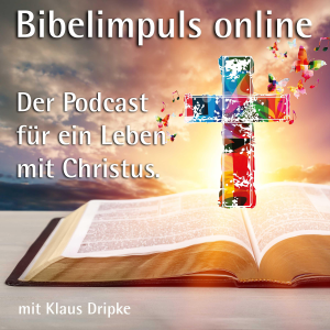Bibelimpuls online-logo