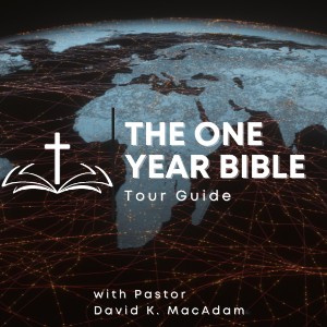The One Year Bible Tour Guide-logo