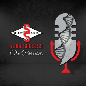 The Select Sires Podcast-logo