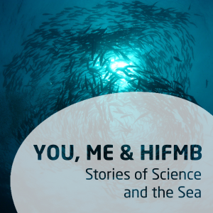 You, Me & HIFMB - Stories of Science and the Sea-logo
