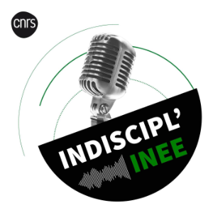 Indiscipl'INEE-logo